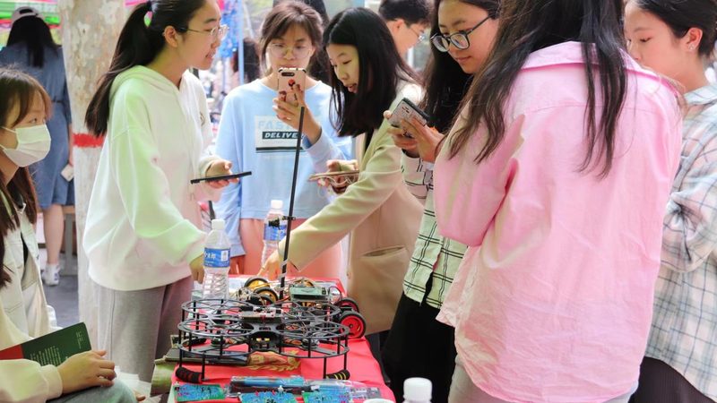 企业智能客服电话系统：价格背后的价值考量**